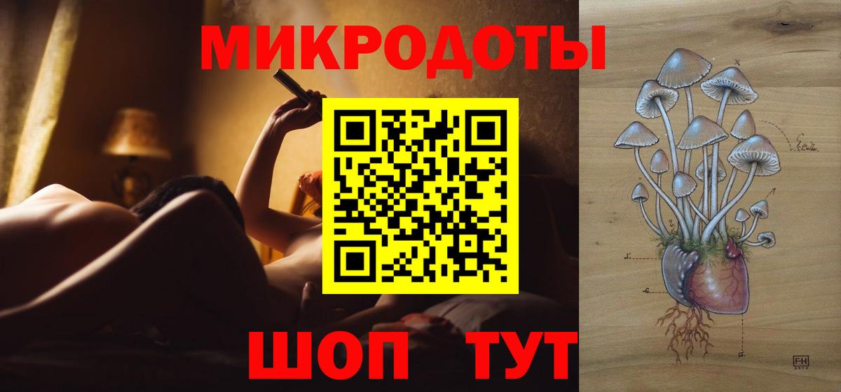 Галлюциногенные грибы Psilocybine cubensis Керчь