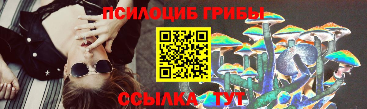 Галлюциногенные грибы GOLDEN TEACHER  где можно купить   Галлюциногенные грибы мухоморы  Керчь  Вход с VPN 