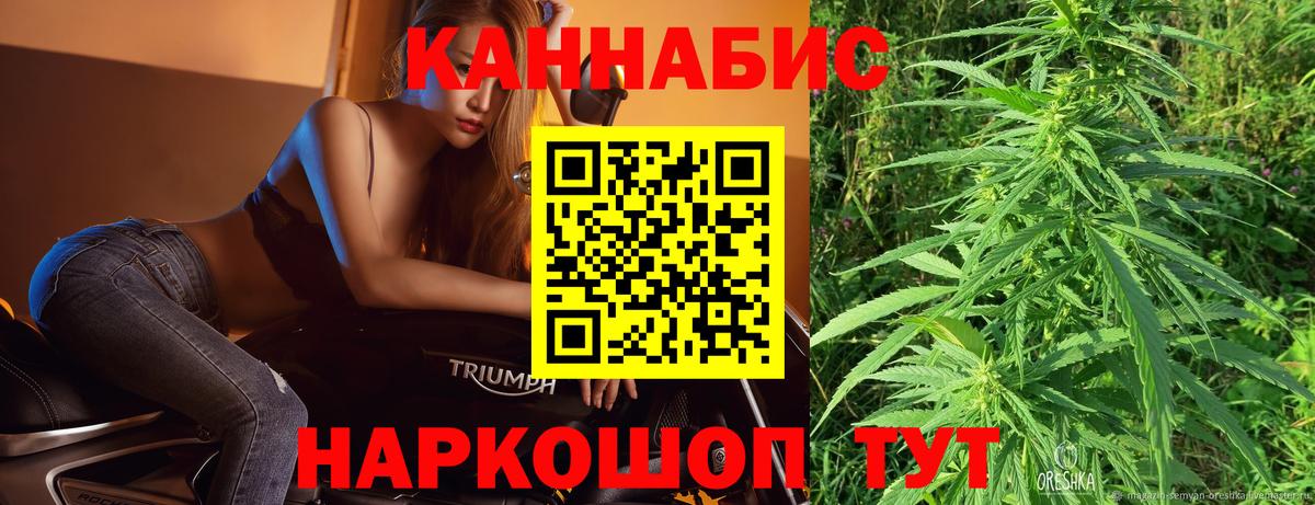 Каннабис OG Kush Керчь